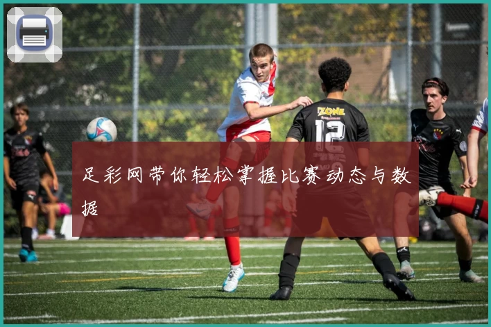 足彩网带你轻松掌握比赛动态与数据