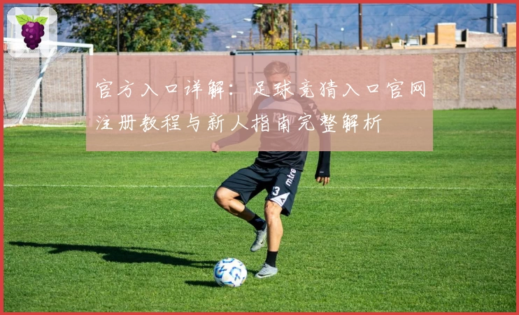 官方入口详解：足球竞猜入口官网注册教程与新人指南完整解析