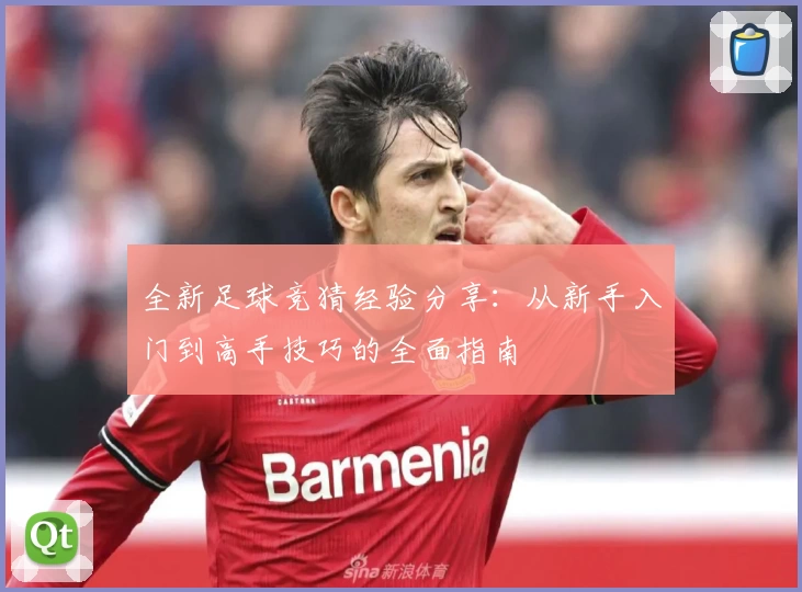 全新足球竞猜经验分享：从新手入门到高手技巧的全面指南