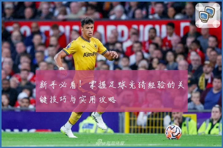 新手必看！掌握足球竞猜经验的关键技巧与实用攻略