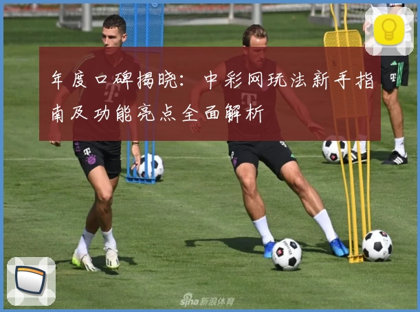 年度口碑揭晓：中彩网玩法新手指南及功能亮点全面解析