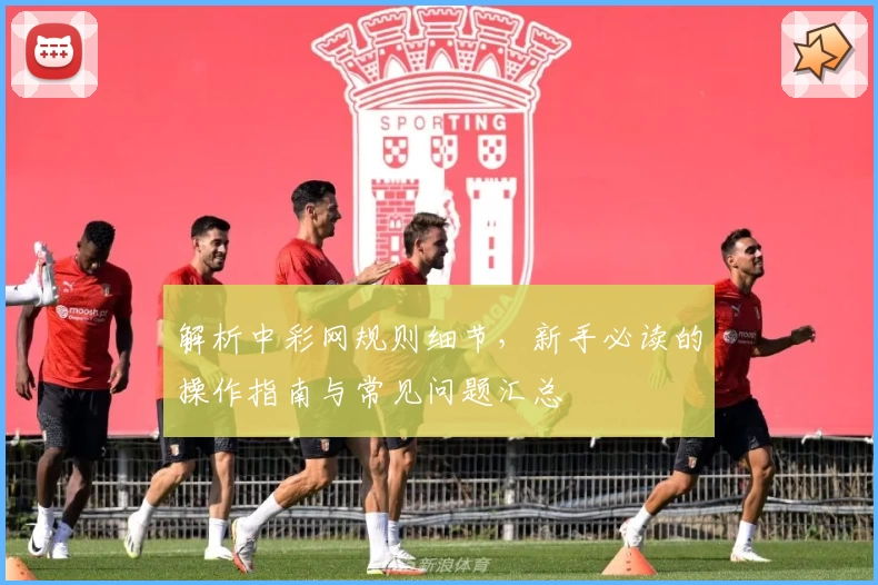 解析中彩网规则细节，新手必读的操作指南与常见问题汇总