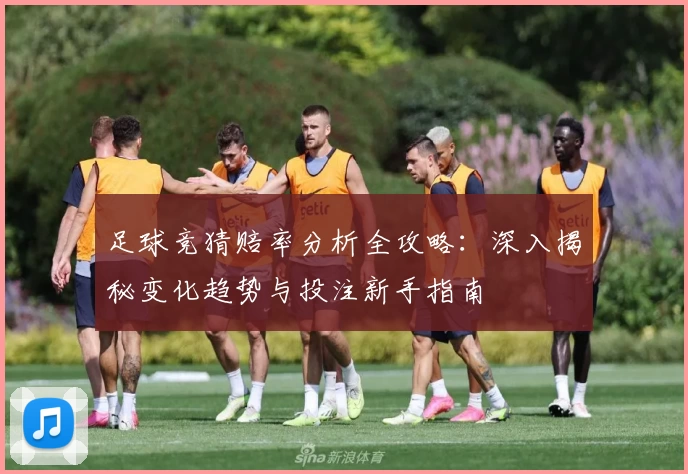 足球竞猜赔率分析全攻略：深入揭秘变化趋势与投注新手指南
